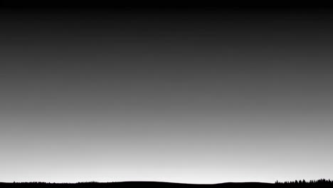 silhouette forest landscape