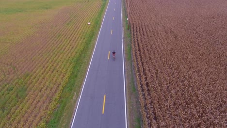 Aerial view of a person riding a bike down the road in the country in 4K