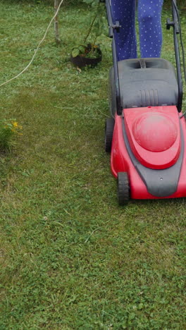 young woman is mowing lawn with lawn mower in her backyard. mowing grass in the garden. vertical video