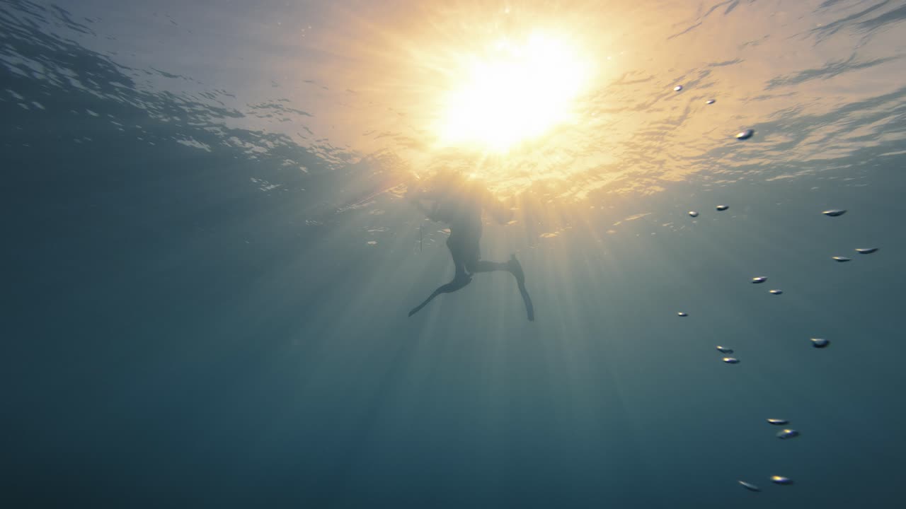 해가 지는 배경 에 있는 다이버 의 실루