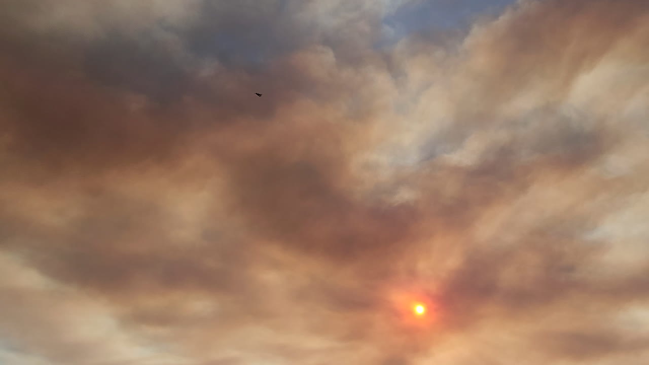 추적 샷 비행기 grumman s-2f3at 터보 추적기가 연기 하늘을 날고 태양을 덮었습니다.