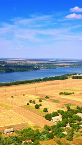 amazing scenery of picturesque landscapes on clear sunny day. yellow wheat fields near the river. wonderful nature of ukraine. vertical video
