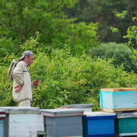 apiarist goes along his bee hives and counts them. man looking after his bee farm at the backdrop of nature