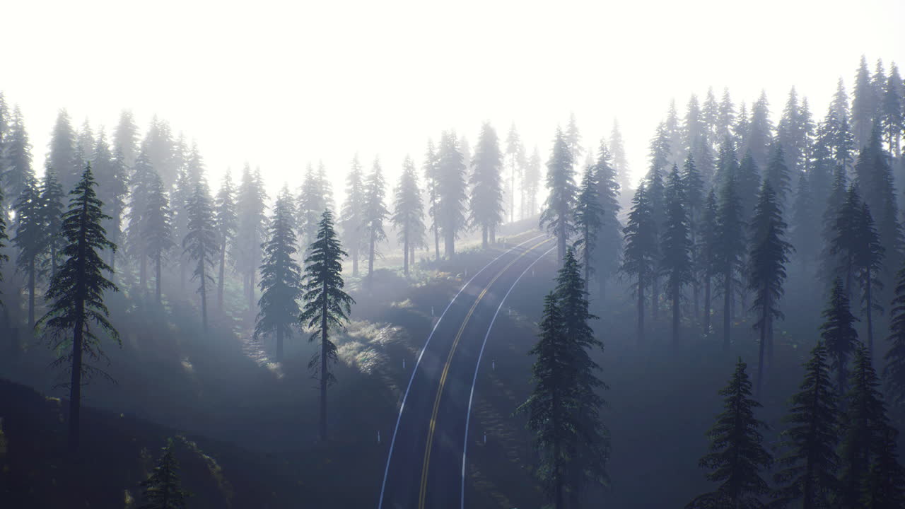 Misty morning in a dense forest with railway tracks winding through trees