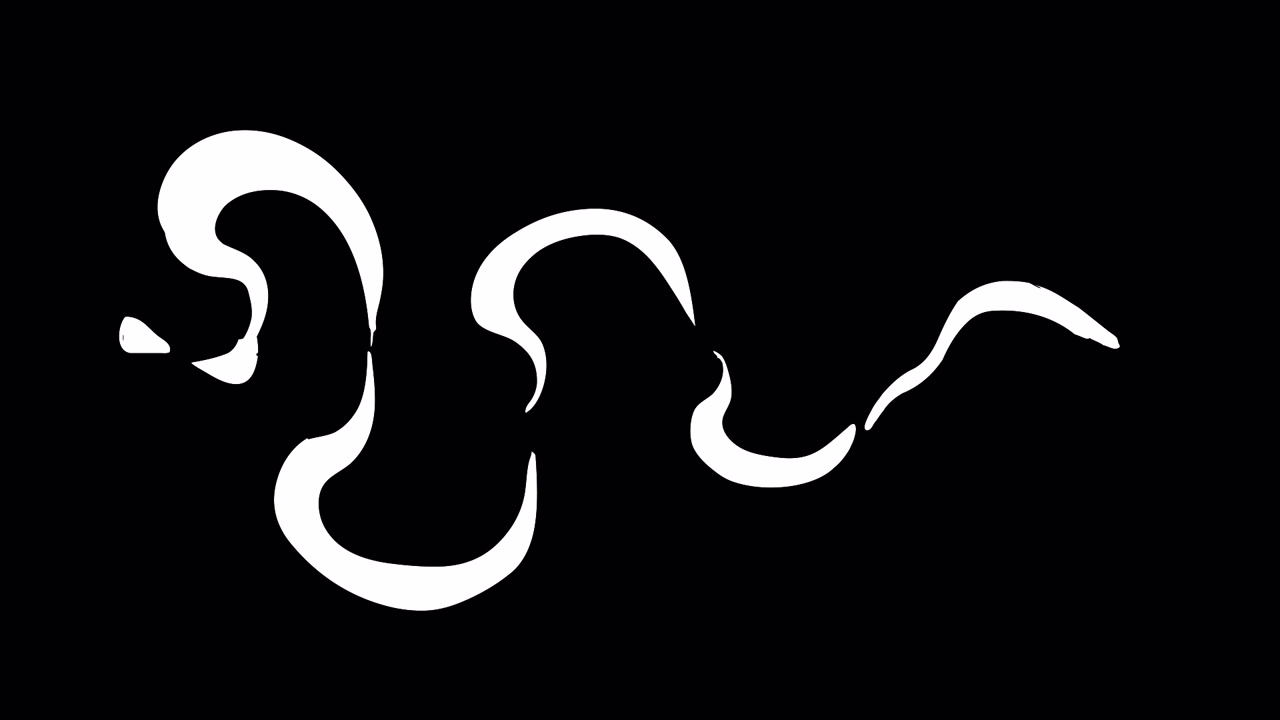 Animazione astratta di linee ondulate bianche con effetto dissolvenza