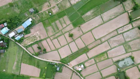 aerial view of scenery green rice fields nature and village