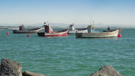 anchored local fishing boats in harbour, struisbaai, south africa