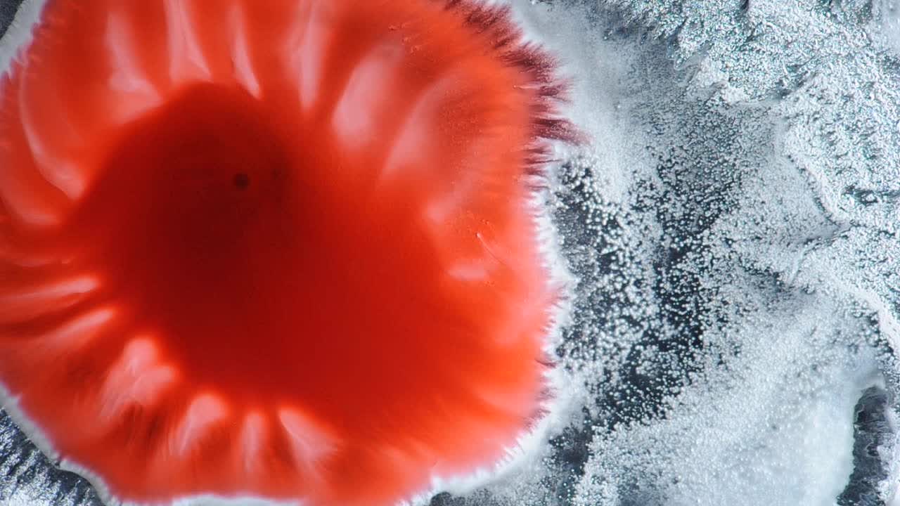 좋아요, 예쁘네요. 그게 뭔지, 어떻게 생겼는지 모르지만 예쁘네요. 자세한 내용은 따옴표를 사용하여 "abstractvideoclip"을 검색하세요.