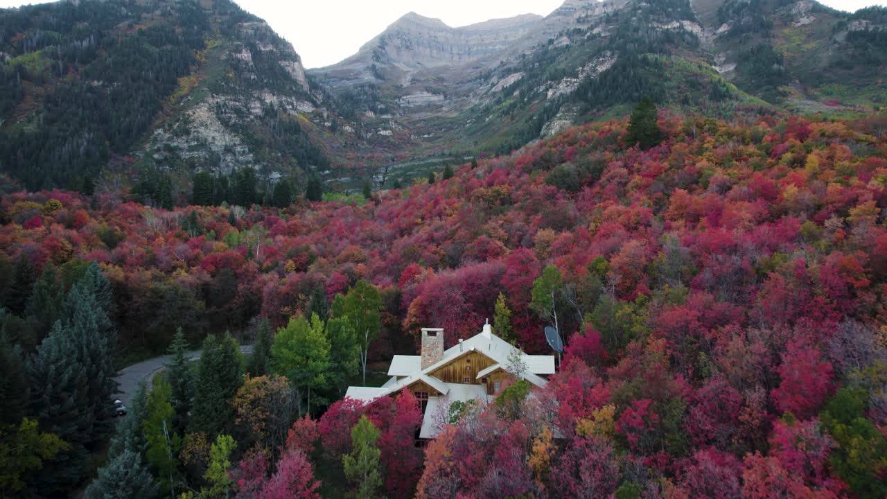 포워드는 선댄스 리조트의 나무에 있는 놀랍도록 다양한 색상의 단풍 위로 날아갑니다.