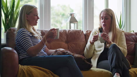two women and a dog having a conversation in the living room