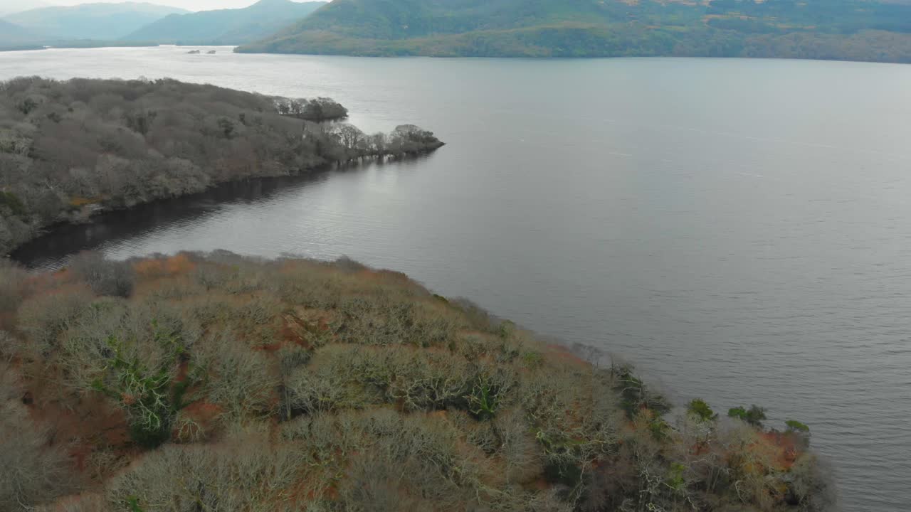 un tiro aéreo de lagos y un bosque en el invierno