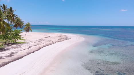 Aerial-shot-of-deserted-Caribbean-beach-with-turquoise-waters-and-lush-palm-trees