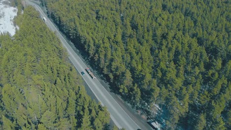 diferentes vehículos circulan por la carretera cruzando un espeso bosque.
