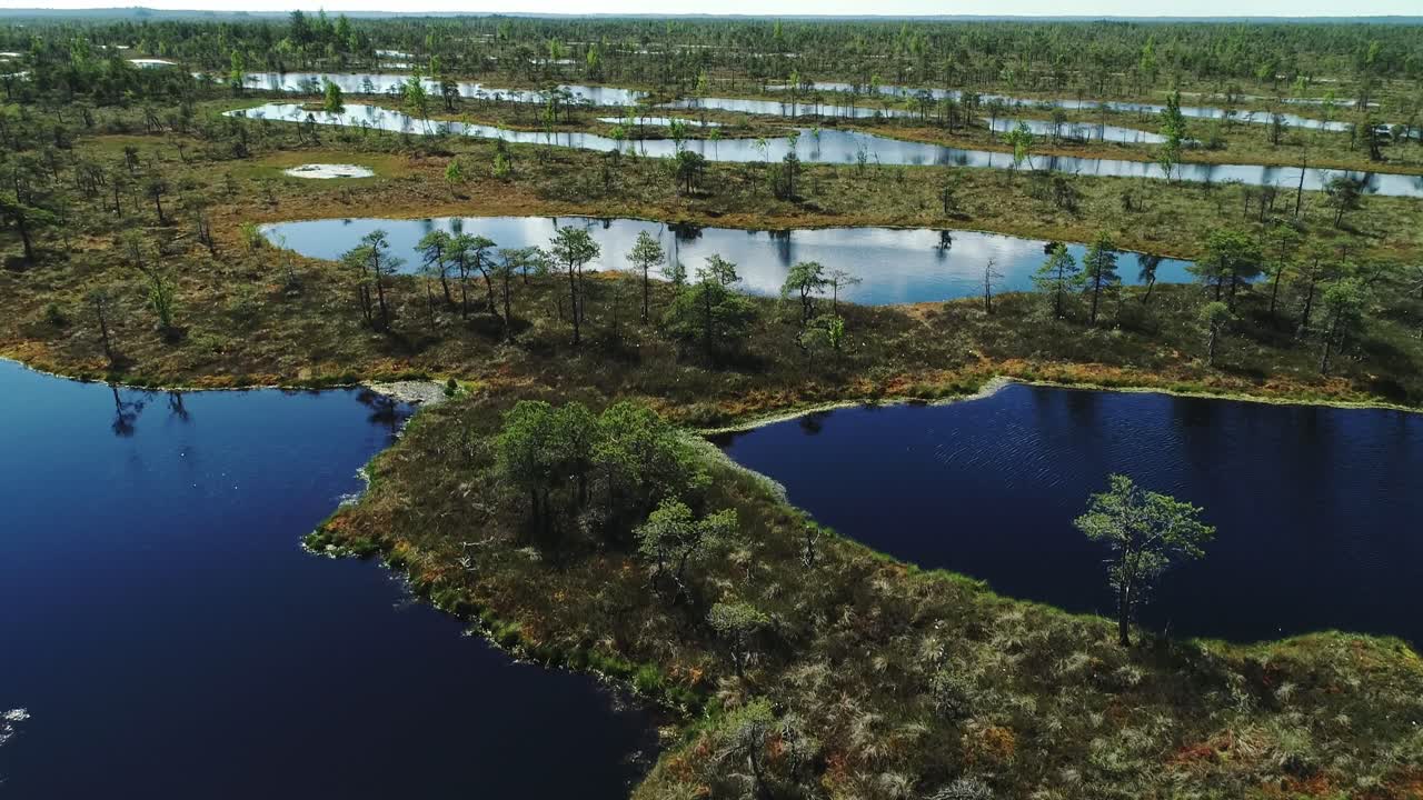 Latvia Ķemeri peat bog reveals unique wetland patterns in protected nature zone