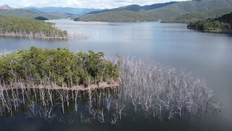 Volando-Sobre-Un-Lago-Con-Península-De-árboles-Muertos-Y-Montaña-En-El-Fondo