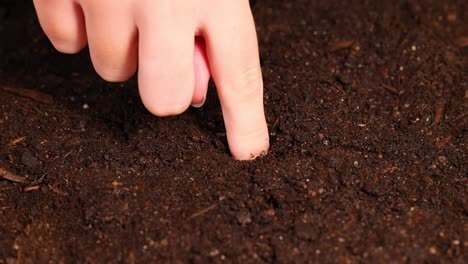 A hand gently pokes a hole in moist soil, preparing for seed planting. Close-up view with warm lighting