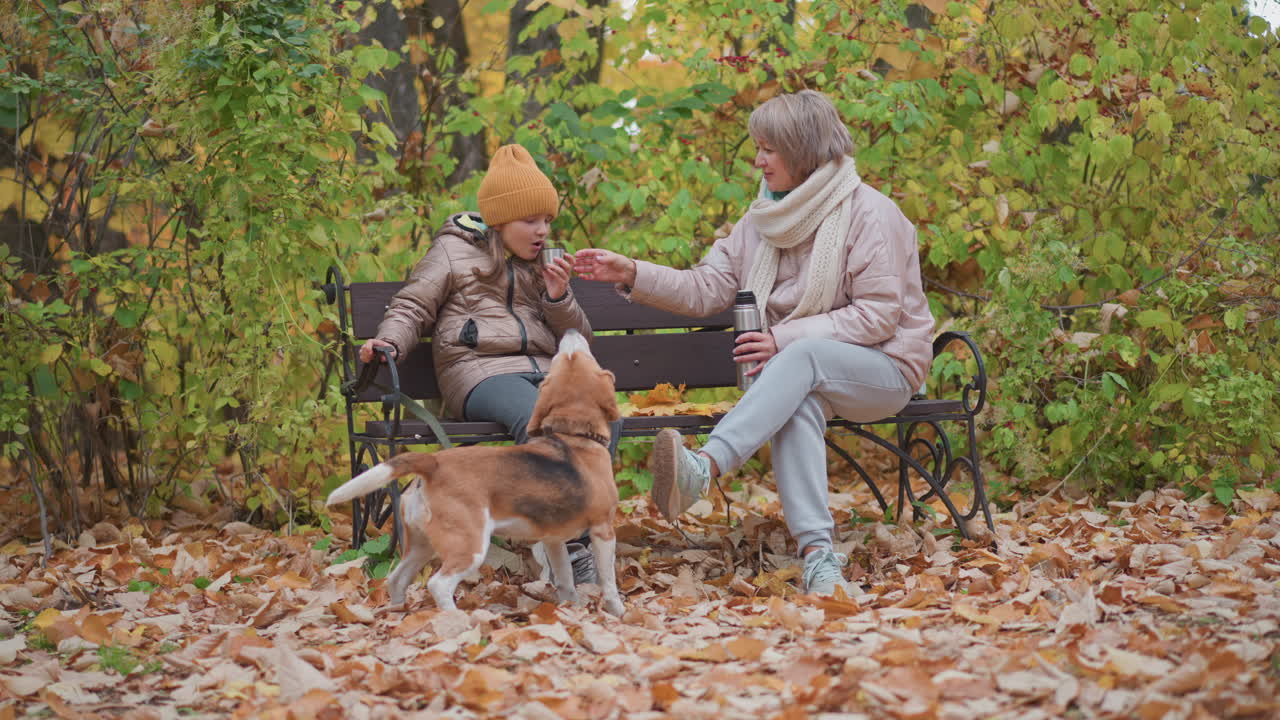Woman seated on bench hands warm drink to daughter blowing on it to cool, while curious beagle stands on fallen leaves trying to reach cup, surrounded by colorful autumn foliage