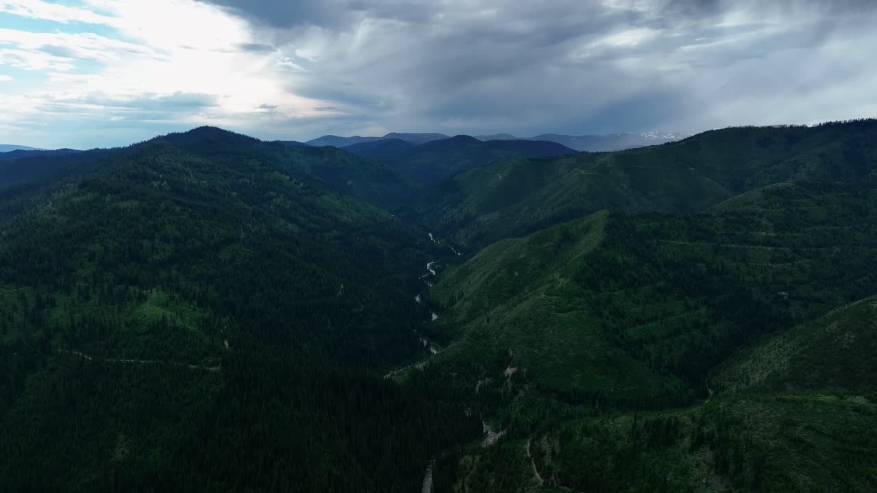 amplias vistas de la naturaleza con valles de bosques siempre verdes en el condado de missoula, montana, estados unidos
