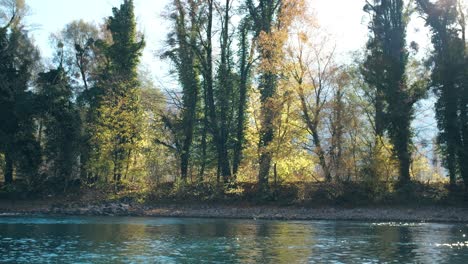 autumn trees reflecting on the calm waters of walensee in walenstadt, switzerland