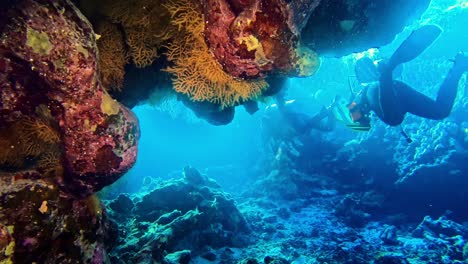 Close-up-of-underwater-rocks-overgrown-with-corals