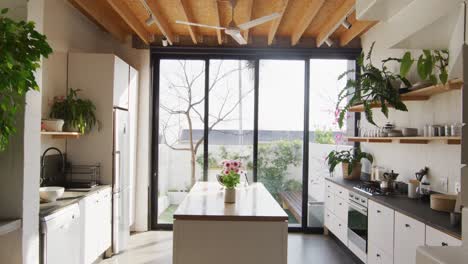 general view of modern kitchen with countertop, kitchen equipment and window