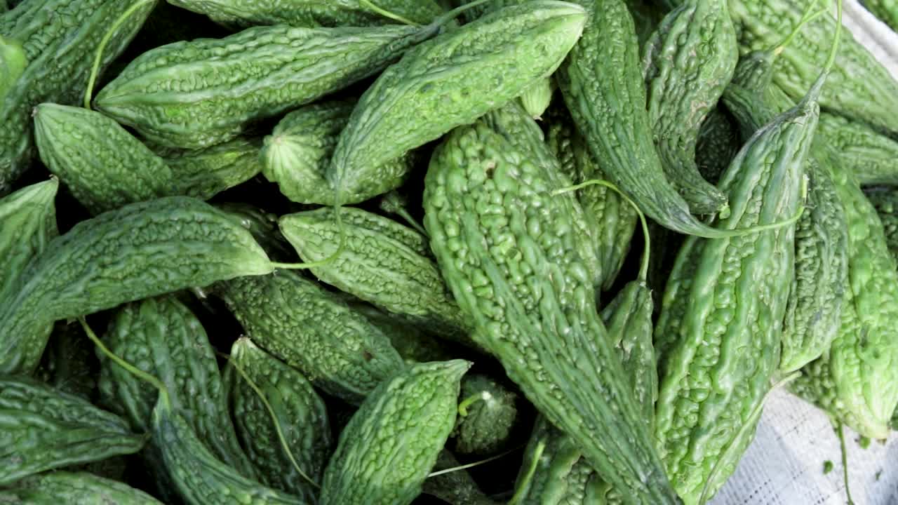 농장의 신선한 유기농 비터 가드가 다른 각도에서 닫힙니다.