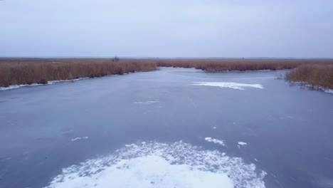 Aerial-view-of-frozen-lake-Liepaja-during-the-winter,-blue-ice-with-cracks,-dry-yellowed-reed-islands,-overcast-winter-day,-wide-ascending-drone-shot-moving-forward