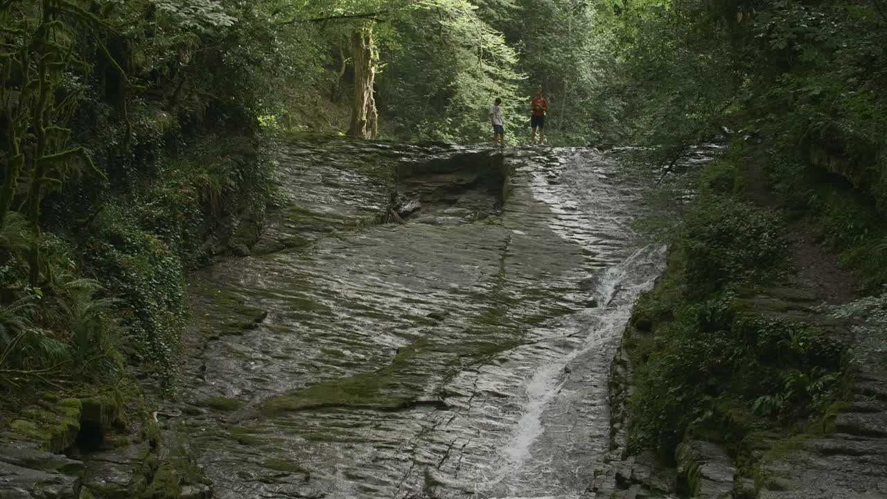 cascada en un bosque exuberante con excursionistas