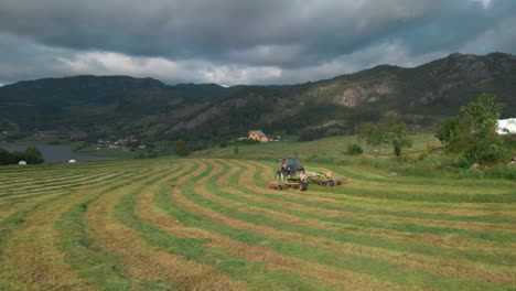 tractor-drawn grass turner working on windrowed grass at the field in norway with overcast