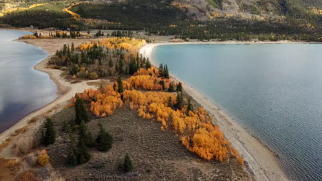 Lagos-Gemelos,-Colorado,-Ee.uu.-En-La-Temporada-De-Otoño,-Vista-Aérea-De-La-Playa-Y-Arboledas-Coloridas,-Tiro-Con-Drones