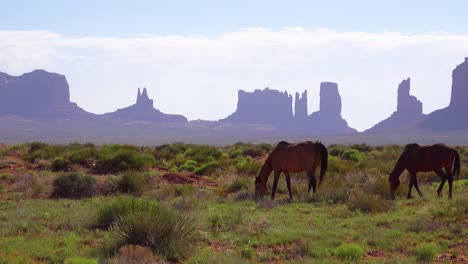 Los-Caballos-Pastan-Con-La-Belleza-Natural-Del-Valle-Del-Monumento-Utah-En-El-Fondo-8