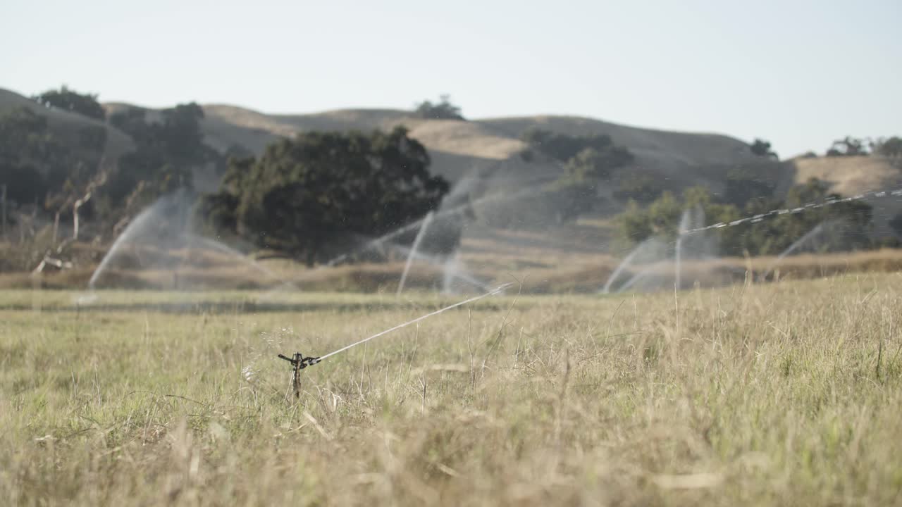rociadores que riegan el campo agrícola en california