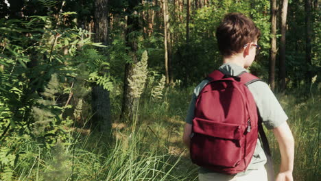 un niño caminando por el bosque.