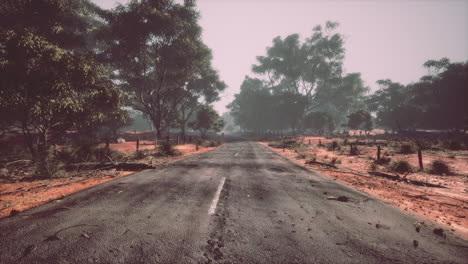 Clean-rural-Road-with-trees