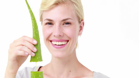 attractive woman snapping aloe vera leaf