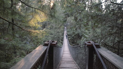 metal ropes of suspension bridge in lynn valley