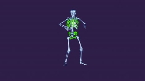 silly dance - skeleton