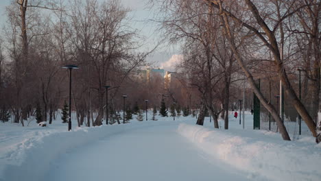 winter season with person walking down snowy path lined with street lamps and bare trees, tall buildings in background, soft sunlight, peaceful winter city park atmosphere with shadows