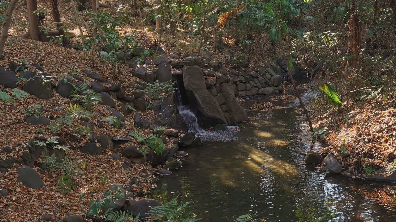 A peaceful scene of a small waterfall constructed with dark rocks, flowing into a narrow stream surrounded by fallen brown leaves and lush green plants in a sun-dappled woodland