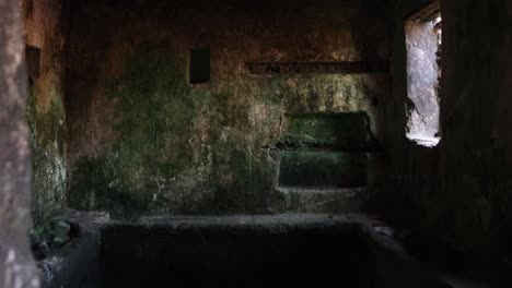 interior of abandoned dark room with moss-covered walls and window light.