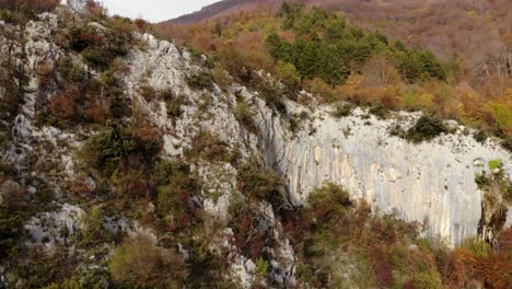 Bushes-on-slope-of-rocky-mountain-and-colorful-forest-trees-on-the-top-in-Autumn