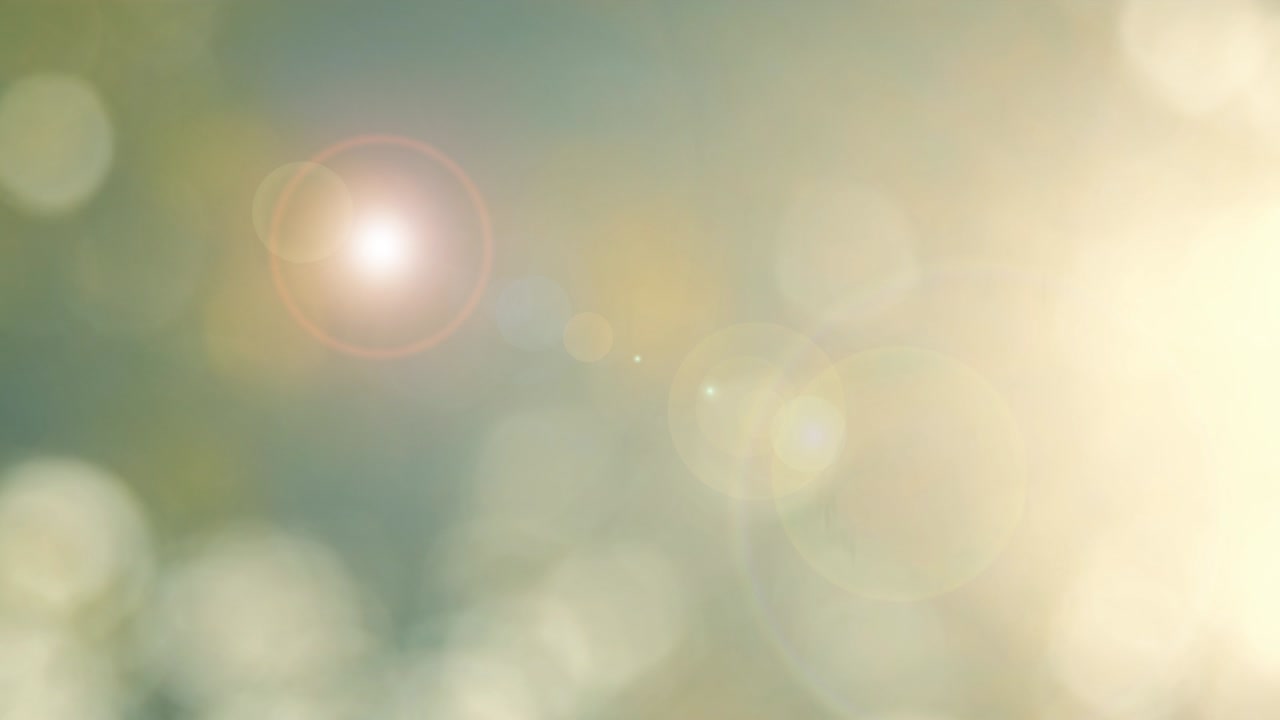 초록색 배경, 추상적인 흐릿한 잎자루, 밝은 빛