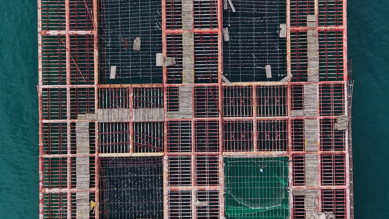 Mussel farming setup on floating platform in coastal waters
