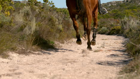 una mujer bonita montada en un caballo.