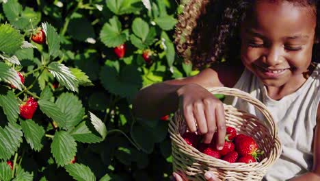 a joyful child picks strawberries in a sunlit garden. close-up, low-angle shot captures the vibrant