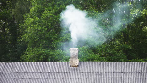 white smoke from fireplace rises above brick chimney on residential home with green trees in background, static