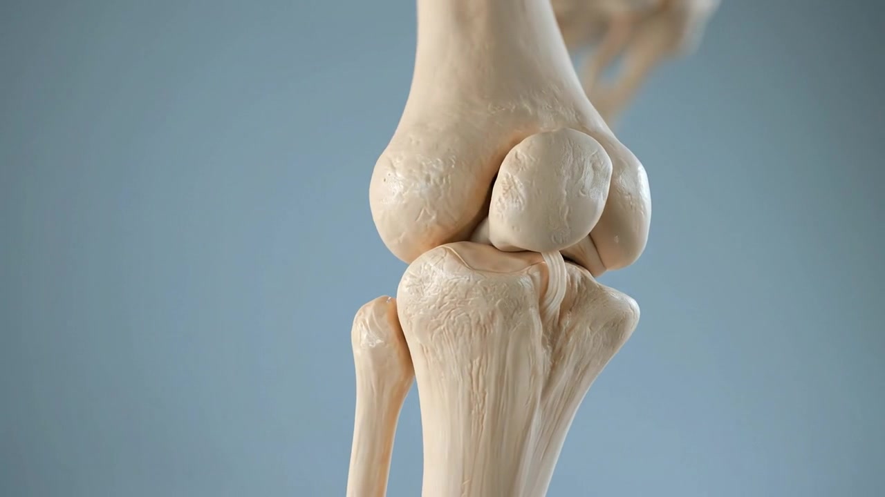 Modello anatomico dell'articolazione del ginocchio umano su uno sfondo neutro e pulito in un filmato scientifico dettagliato