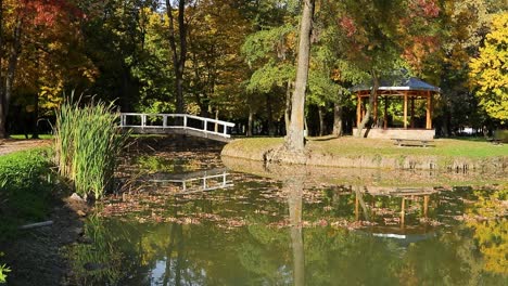 Reflejo-En-El-Lago-Marquesinas-De-Madera-Y-Viejo