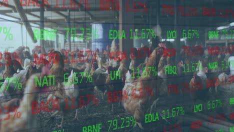 animation of financial data processing over chickens at farm