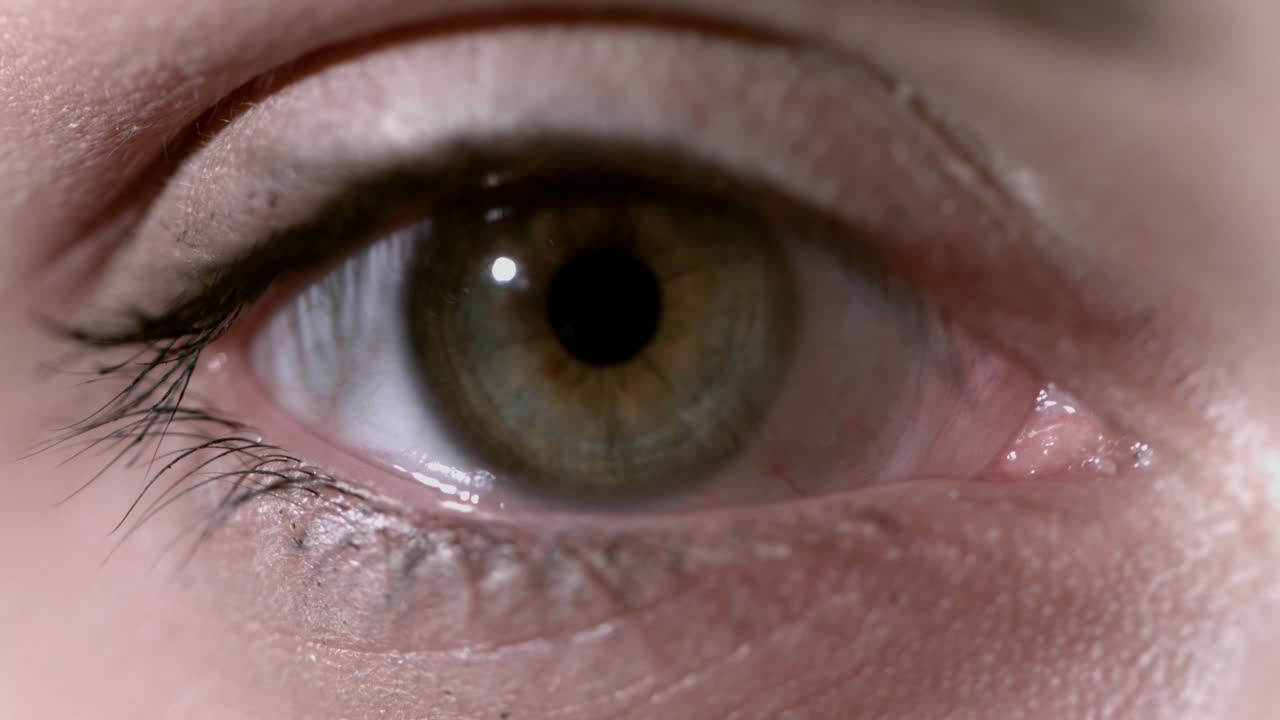 인간 눈의 클로즈업